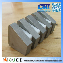 Customize Super Strong Sintered Irregular SmCo Magnete